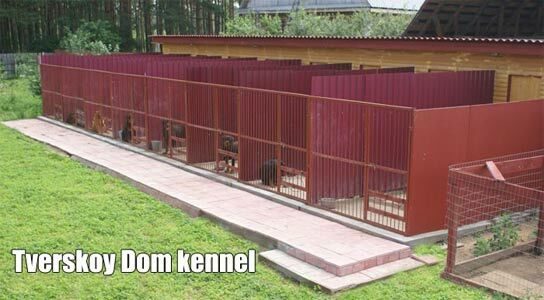 kennel1